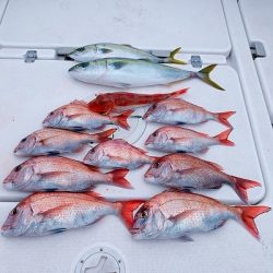 フィシングボートAir(エアー) 釣果