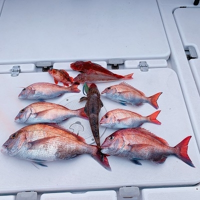 フィシングボートAir(エアー) 釣果