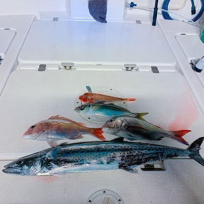 フィシングボートAir(エアー) 釣果