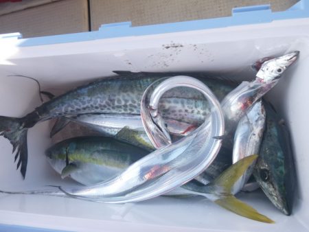 松運丸 釣果