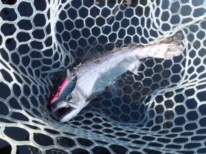 朝霞ガーデン 釣果