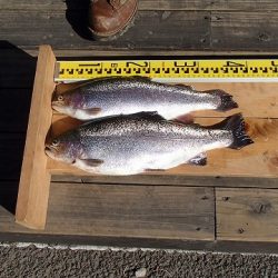 志高湖フィッシング 釣果