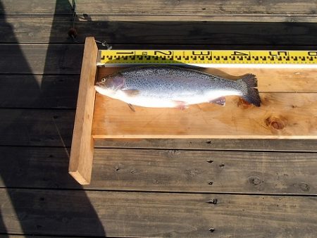 志高湖フィッシング 釣果