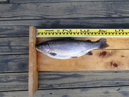 志高湖フィッシング 釣果