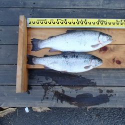 志高湖フィッシング 釣果