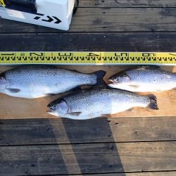 志高湖フィッシング 釣果