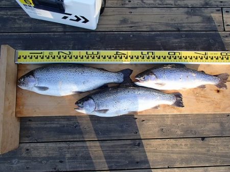 志高湖フィッシング 釣果