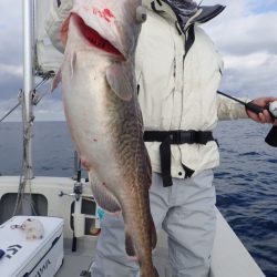 Aquanaut（アクアノート） 釣果