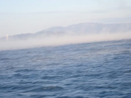 Aquanaut（アクアノート） 釣果