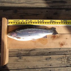 志高湖フィッシング 釣果