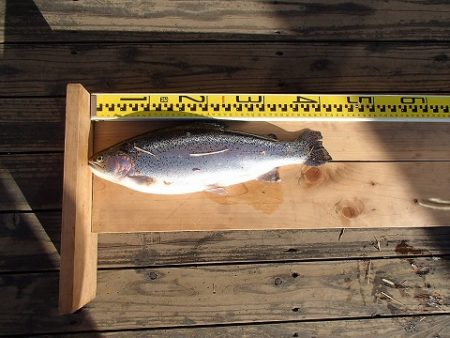 志高湖フィッシング 釣果