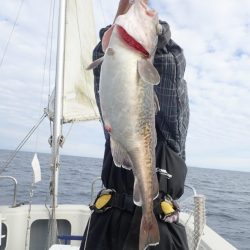 Aquanaut（アクアノート） 釣果