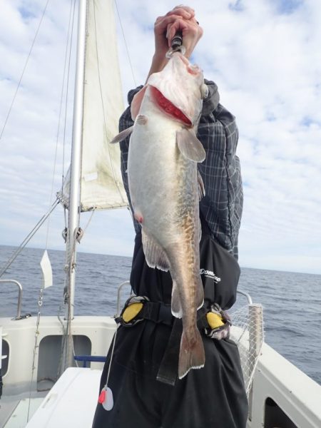 Aquanaut（アクアノート） 釣果