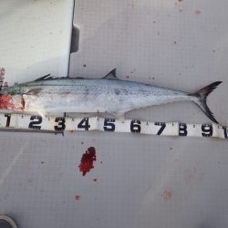 Aquanaut（アクアノート） 釣果