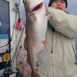 Aquanaut（アクアノート） 釣果