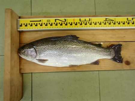 志高湖フィッシング 釣果