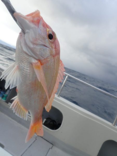 Aquanaut(アクアノート) 釣果