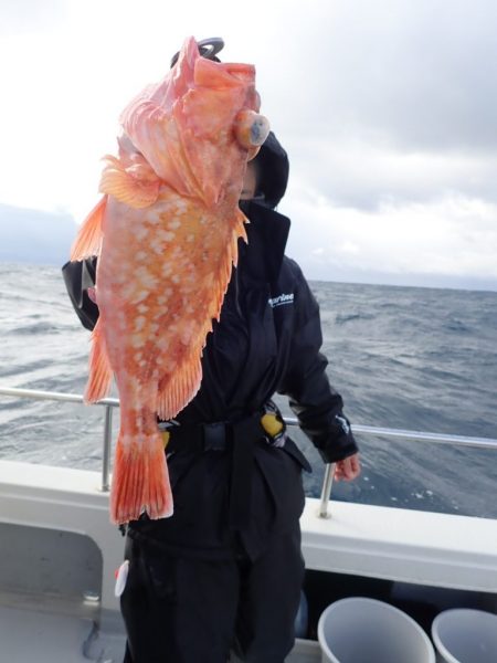 Aquanaut(アクアノート) 釣果