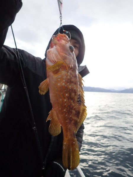 Aquanaut(アクアノート) 釣果