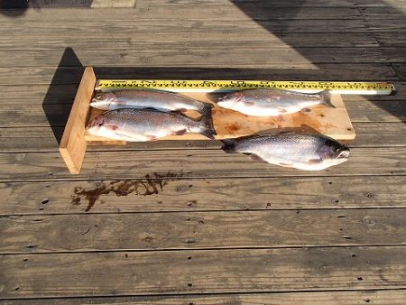 志高湖フィッシング 釣果