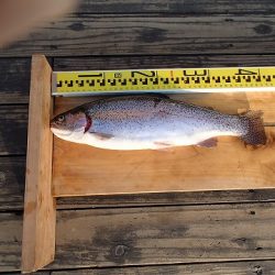 志高湖フィッシング 釣果