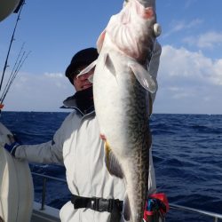 Aquanaut（アクアノート） 釣果