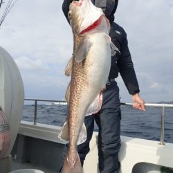 Aquanaut（アクアノート） 釣果