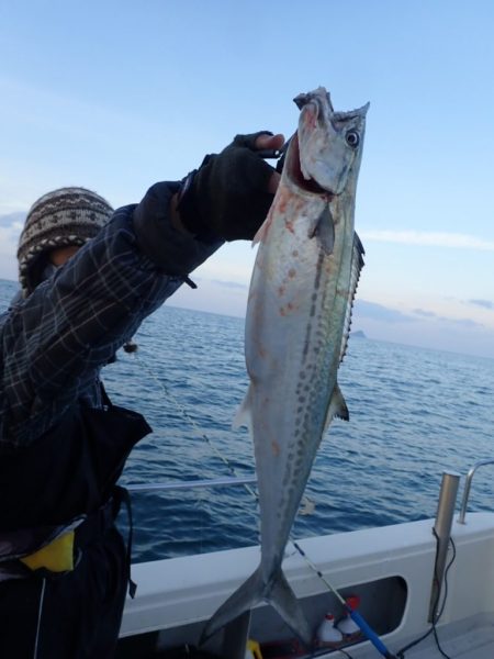 Aquanaut（アクアノート） 釣果