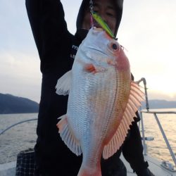 Aquanaut（アクアノート） 釣果