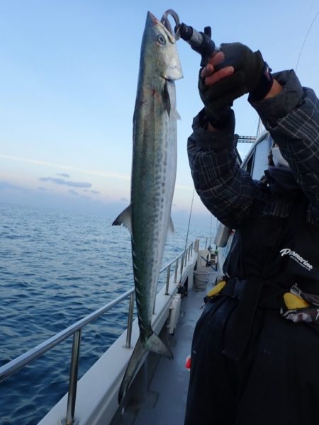 Aquanaut（アクアノート） 釣果