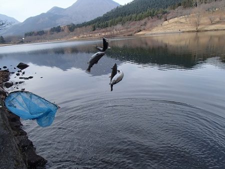 志高湖フィッシング 釣果