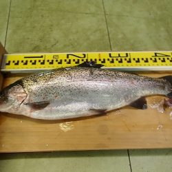 志高湖フィッシング 釣果