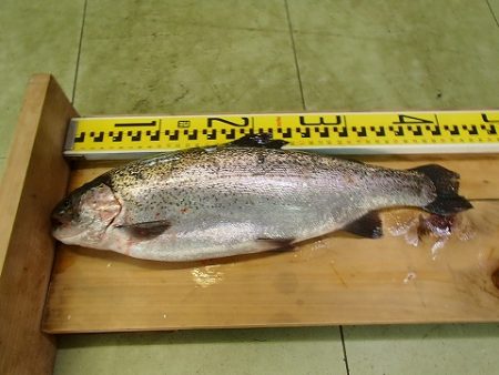 志高湖フィッシング 釣果