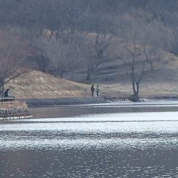 志高湖フィッシング 釣果