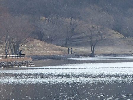 志高湖フィッシング 釣果