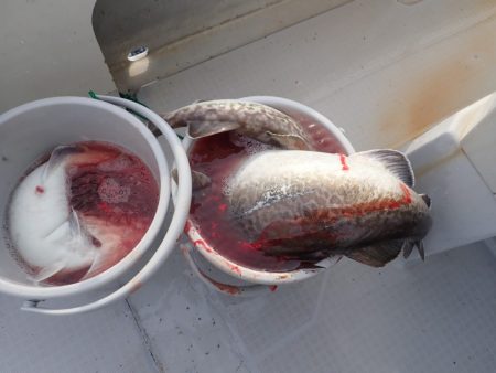 Aquanaut(アクアノート) 釣果