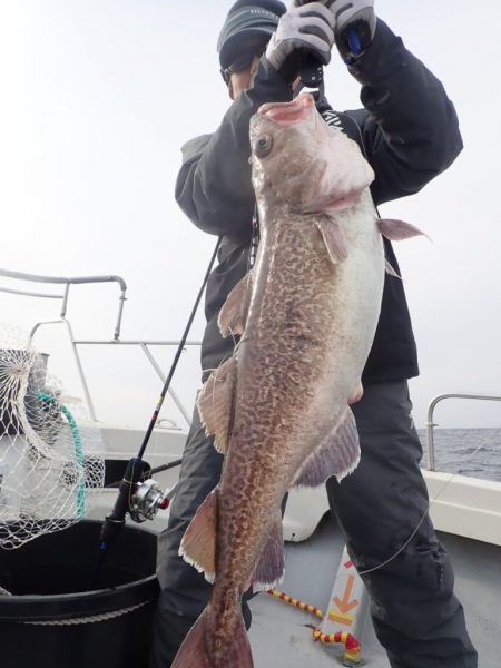 Aquanaut(アクアノート) 釣果