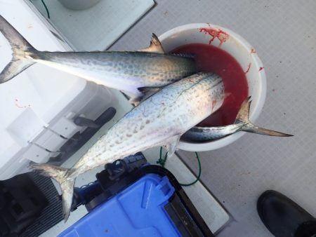 Aquanaut(アクアノート) 釣果