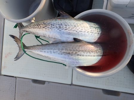 Aquanaut(アクアノート) 釣果