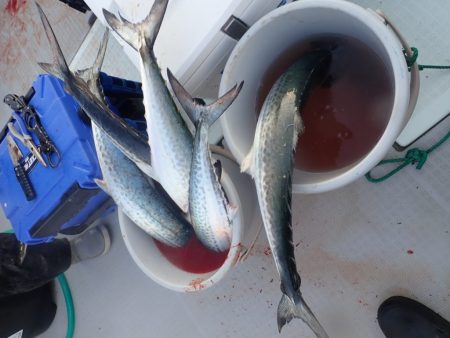 Aquanaut(アクアノート) 釣果