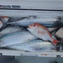 Aquanaut(アクアノート) 釣果