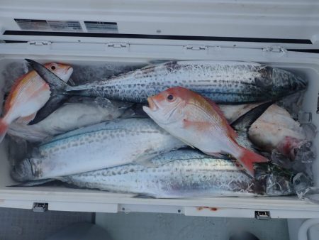 Aquanaut(アクアノート) 釣果