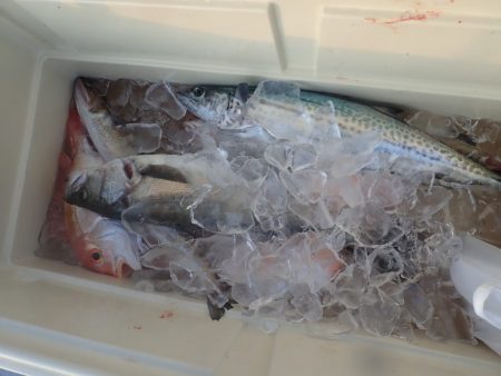 Aquanaut(アクアノート) 釣果