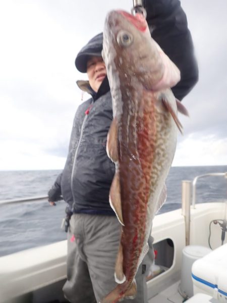 Aquanaut(アクアノート) 釣果