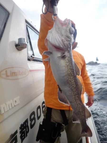 Aquanaut(アクアノート) 釣果