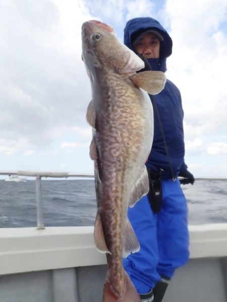 Aquanaut(アクアノート) 釣果