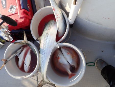 Aquanaut(アクアノート) 釣果