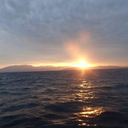 Aquanaut（アクアノート） 釣果