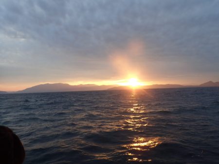 Aquanaut（アクアノート） 釣果