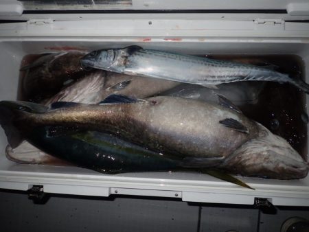 Aquanaut（アクアノート） 釣果